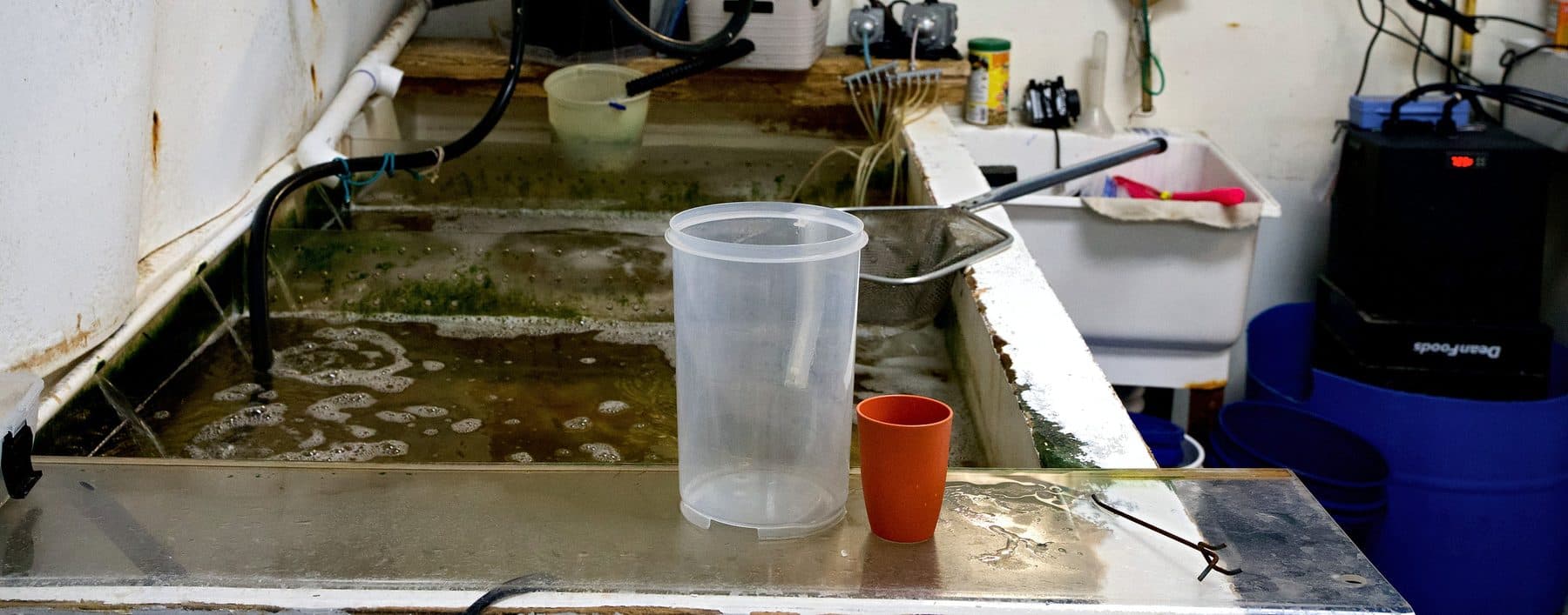 Aerated live bait tank with a dip net and bait cups at the South Store